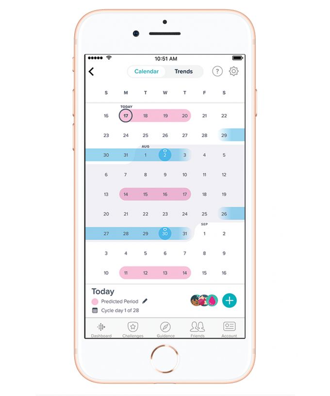 calendar